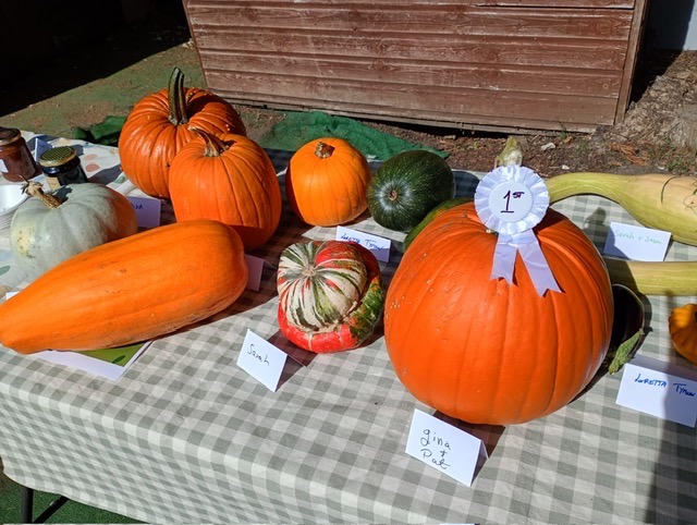 Pumkins