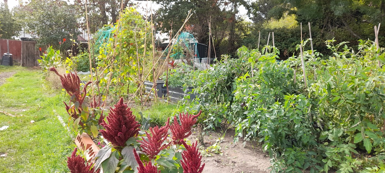Memorial Plots Update