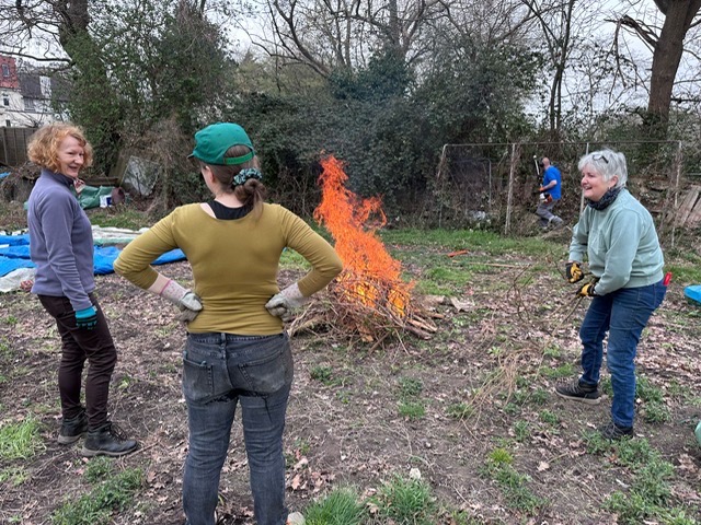 Allotment bonfire